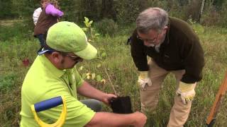 preview picture of video 'Re-building a forest one tree at a time - Season Three'
