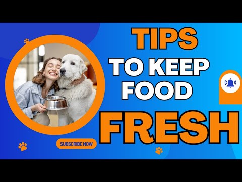 Store Dog Food Like a Pro: Top Tips for Freshness