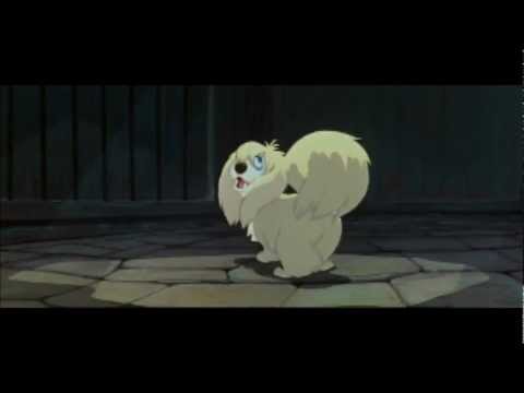 La Belle et le Clochard , Il se traine.