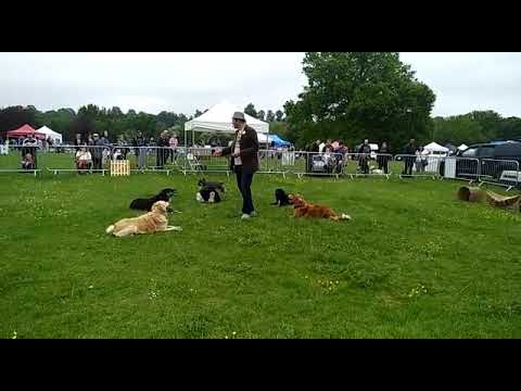 Setting up that perfect circle. Attitude and food. What and How, and a few tricks along the way.