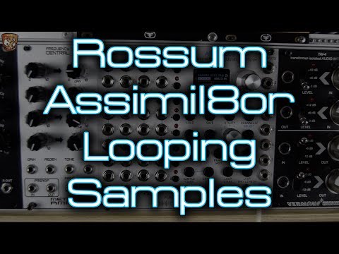 Rossum Electro-Music Assimil8or Multi-Timbral Phase Modulation Sampler Eurorack Module 2016 - 2021 - Silver image 4