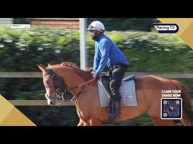 Thumbnail for Post ID: P__VEBS7Qdo