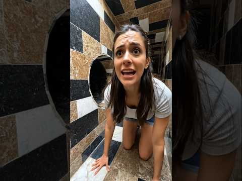 El perro está siguiendo a la niña