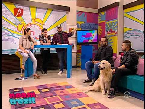 Shift si Vizi Imre la Neam Trezit