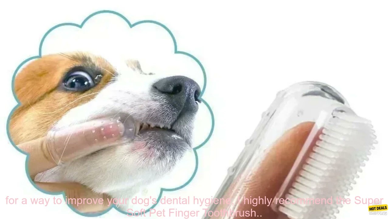 1005006094992079 Super Soft Pet Finger Toothbrush Dog Brush Bad Breath Tartar Teeth Car
