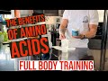 WHY YOU SHOULD NOT TRAIN LEGS FIRST | FULL BODY HYPERTROPHY WORKOUT | PERFORM AMINO ACID BENEFITS