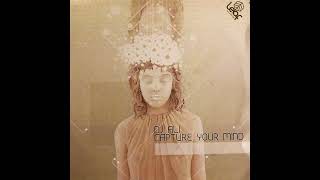 DJ Ali - Capture Your Mind