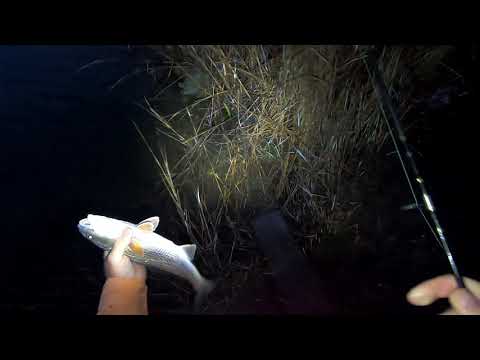 Still waiting for cool weather to break this lull in action