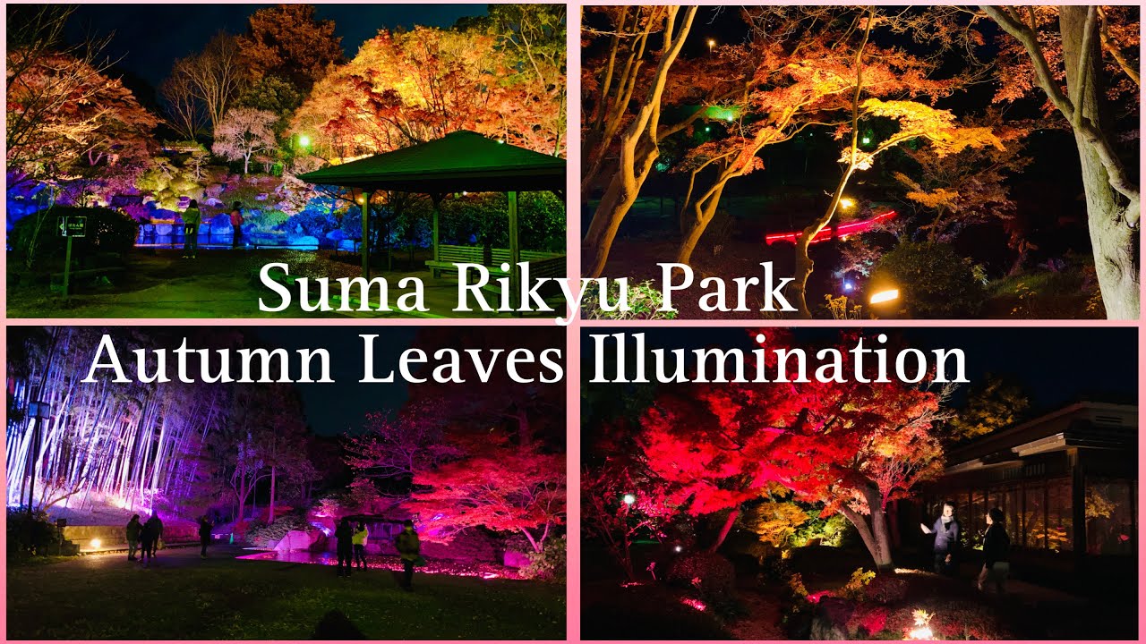 Experience Autumn illumination at Suma Rikyu Park with this video tour.
