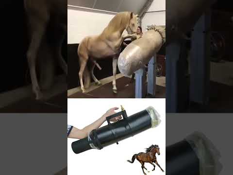âž¤ Real Horse Cum â¤ï¸ Video.Kingxxx.Pro