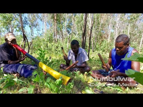 Dhaambulg Ayawurra - Murrungun Songs