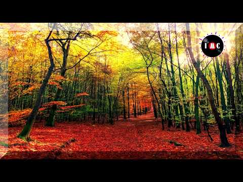 Waking Up to Another Day  - Ten Towers