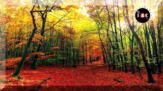 Waking Up to Another Day  - Ten Towers