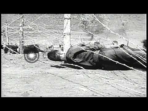 Montagnards practice defense from enemy weapons and attack in Vietnam during the ...HD Stock Footage