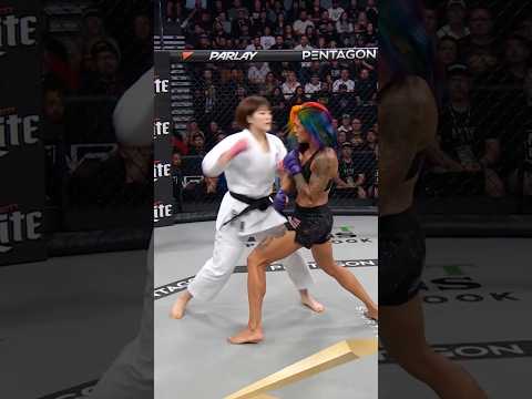【正拳突き2連発でKO】空手女子 vs 総合格闘家 #Karate #MMA #KO #MartialArts #Budo
