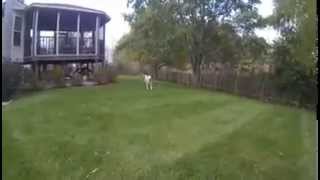 Pitter Patter by College Transfer Student *FAN MADE VIDEO