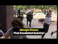 Abrupt Chaos: Moments That Escalated Quickly!