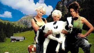 Dixie Chicks Tribute