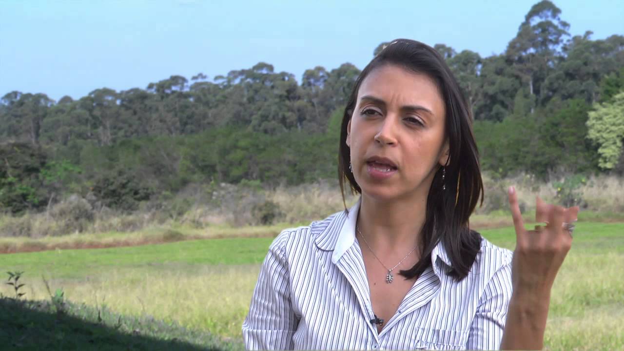 primeiros passos da especiação