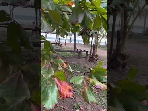 🌅 Playa Las Lajas al Atardecer | Sonido Relajante del Mar | Chiriquí, Panamá 🇵🇦 #youtubevideo #fyp 