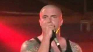 Project86 &quot;illuminate&quot;