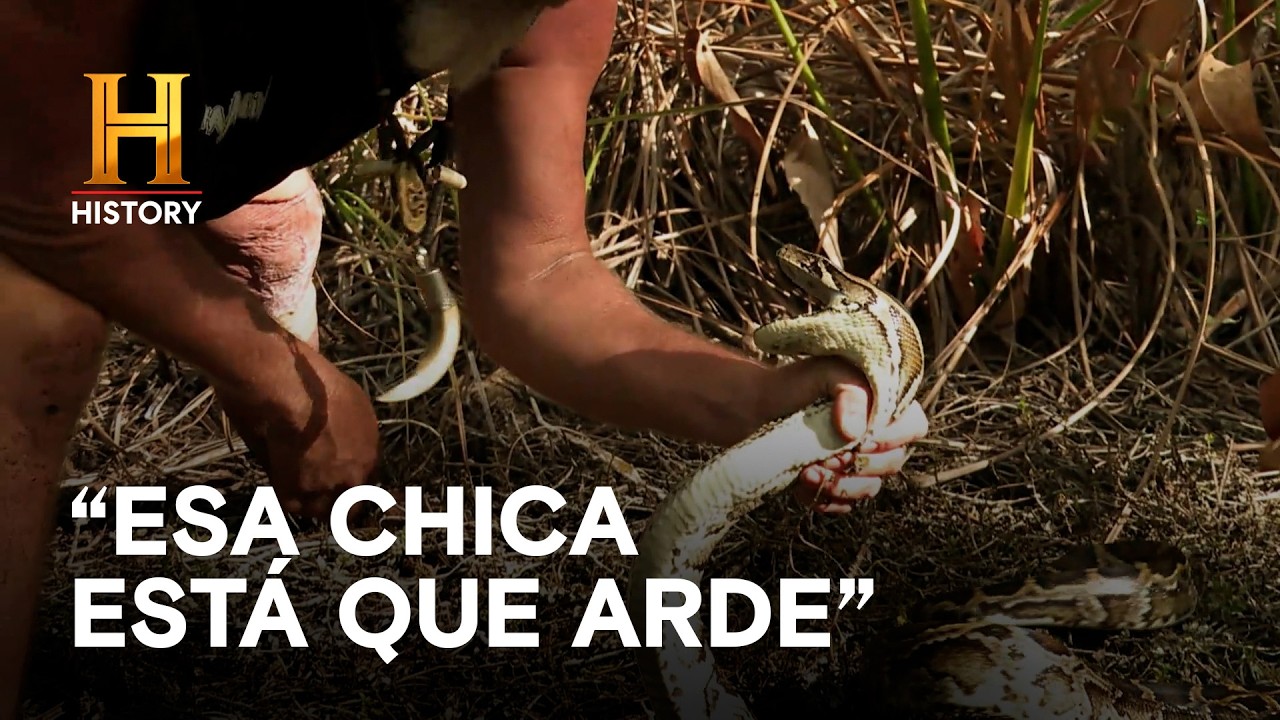 Dusty regresa al "hueco" - AMOS DEL PANTANO: INVASIÓN DE SERPIENTES