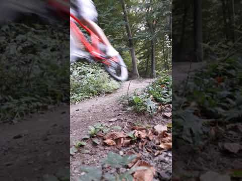 4 Sprünge auf MTB-Strecke Oberbieber