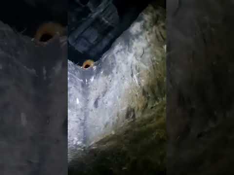 A CRIATURA APARECEU NA LENDA DO RENATO GARCIA CAÇADORES DE LENDAS 🙏👏