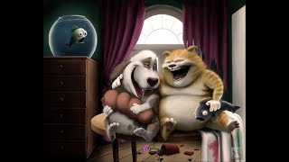 улетное видео топ 2015 февраль 2
