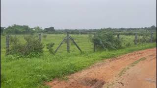  Agricultural Land for Sale in Talakondapally, Rangareddy