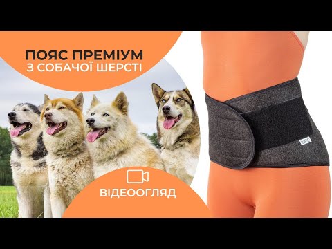 Пояс для спины из собачьей шерсти Премиум L (обхват 115-135 см) - фото 1 - id-p1461522639