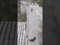 TIPS ON HOW TO CATCH A HAT 5m Fivem Gta Gaming Gtarp
