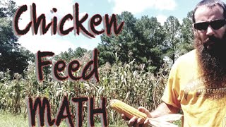 Growing Corn for Chicken Feed: Is It Worth Doing???