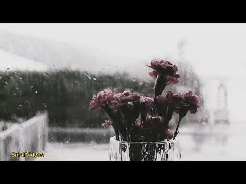 Roslyn (legendado) - Bon Iver (Festa. St. Vincent)