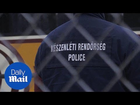 Police with dogs patrol Hungarian migrant camp - Daily Mail