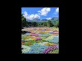 All Playboi Carti/Adrian Remixes Without Slowed Down Parts (528Hz) DEFAULT Thumbnail