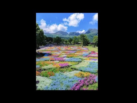All Playboi Carti/Adrian Remixes Without Slowed Down Parts (528Hz)