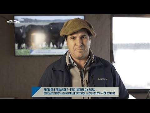 Zafra de Toros 2019 -  Rodrigo Fernandez