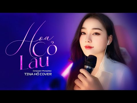 HOA CỎ LAU | PHONG MAX - COVER TINA HO VERSION LOFI