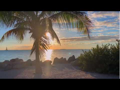 TIESTO   Estuera vs  ReLocate   Palma Solane