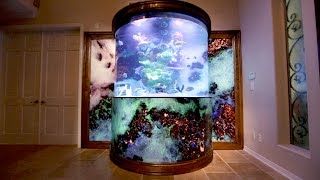 A Truly Hofftastic Tank