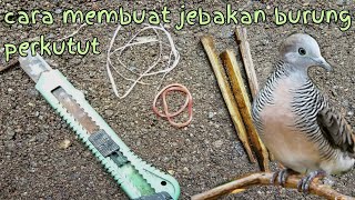 Download lagu How to make a zebra dove trap mp3