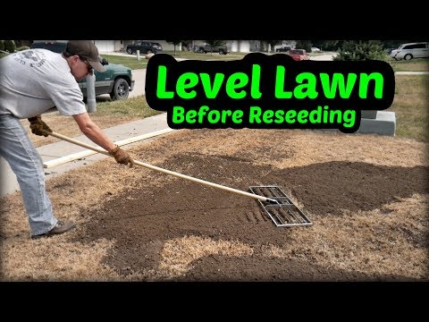 Leveling the Lawn Before Reseeding Part 1