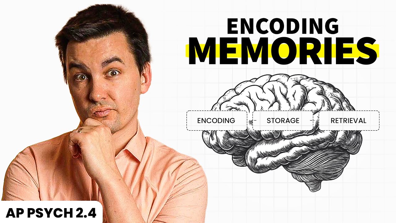 Encoding Memories (AP Psychology Review Unit 2 Topic 4)