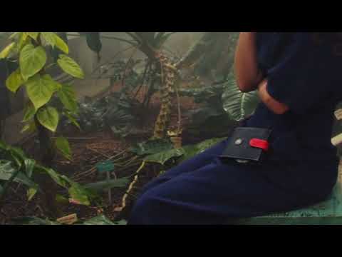 Amzra   Connexion à la Nature 1