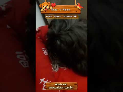 Vídeo de Kiara e Hanna