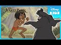 Baloo Teaches Mowgli To Fight Jungle Book Disney Kids