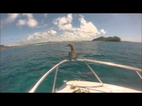 GALAPAGOS TOUR 360°