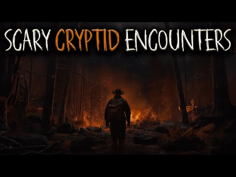 5 Scary Cryptid Encounter Horror Stories
