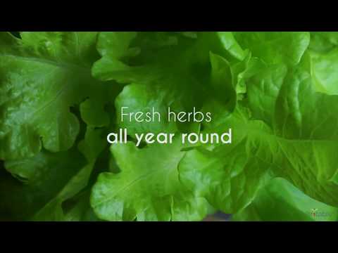 Veritable® Smart Indoor Garden